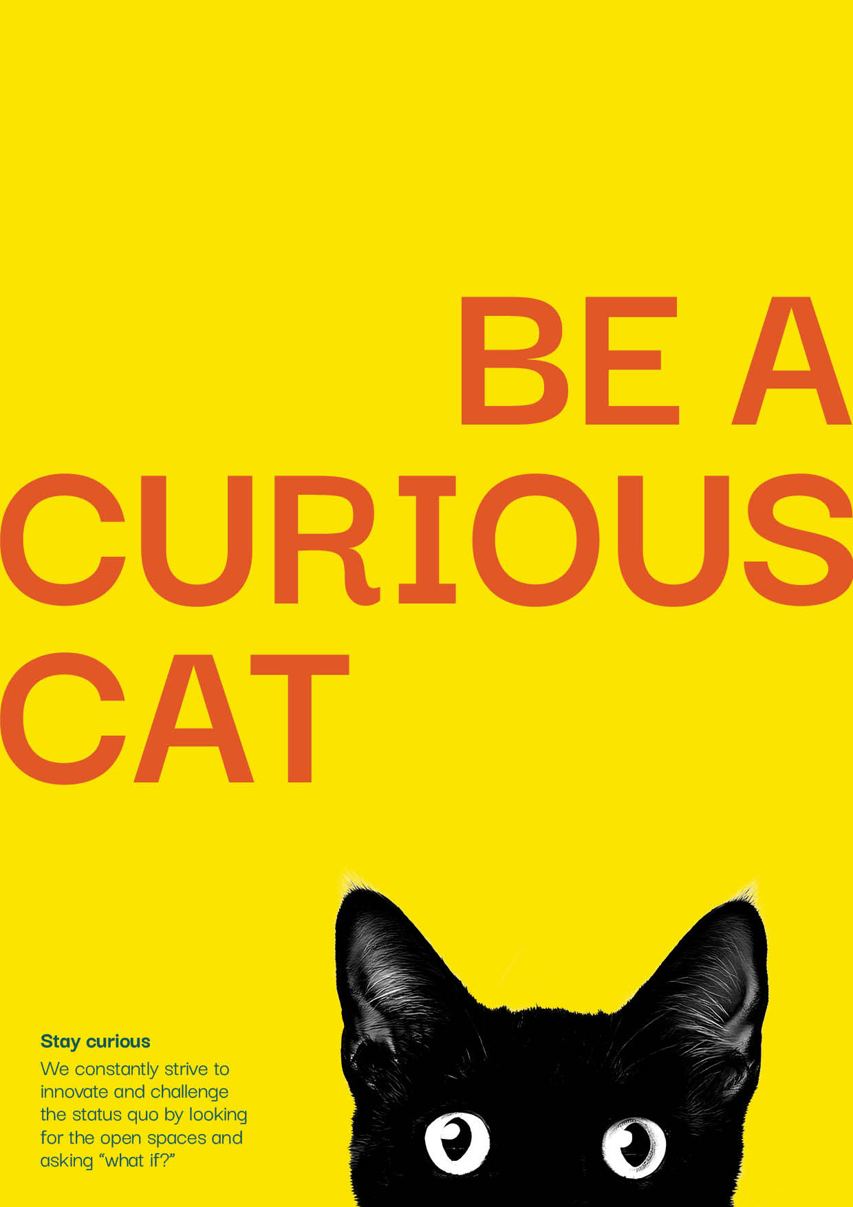 Be a curious cat — ask better questions than the brief. Find the thing nobody else thought to look at.