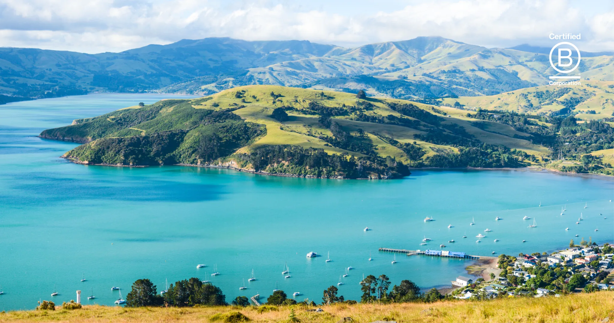 Aerial view of Akaroa Harbour, New Zealand