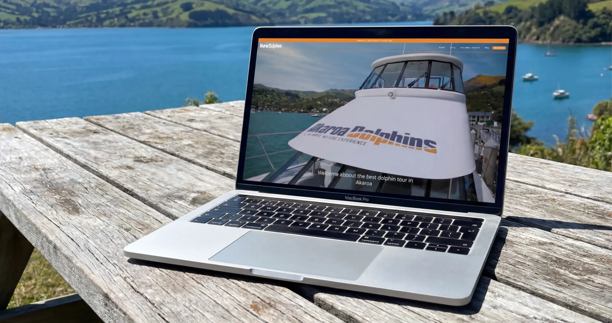 Akaroa Dolphins website shown on a laptop overlooking Akaroa Harbour