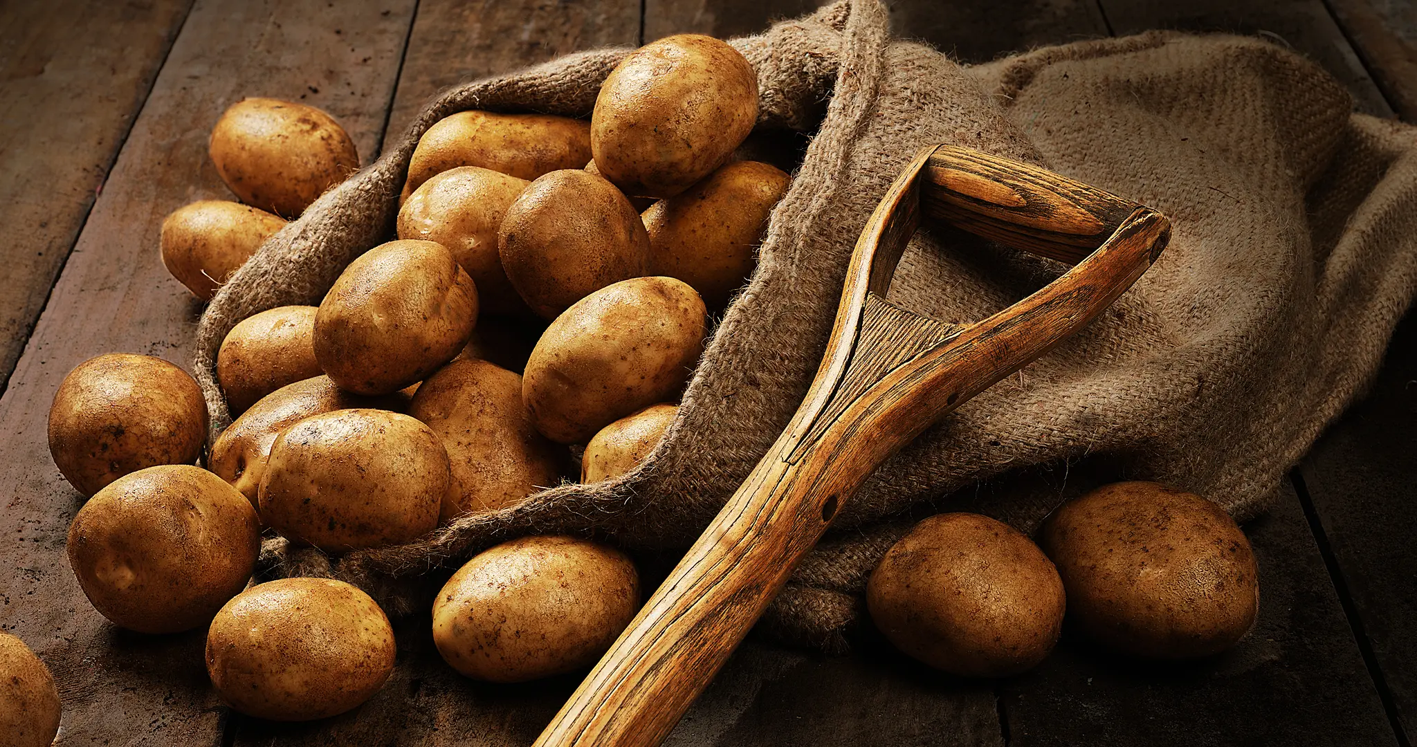 Heartland Potato Chips product range